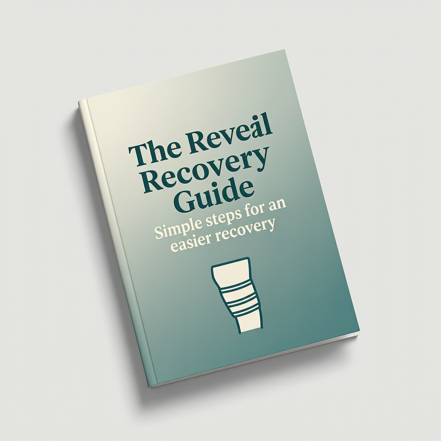 Recovery Guide PDF